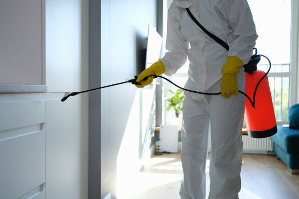 Best Mold Remediation  in Cinco Ranch, TX