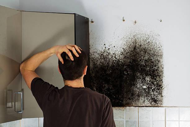 Best Home Mold Removal  in Cinco Ranch, TX